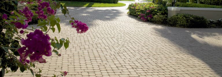 Pro paver services
